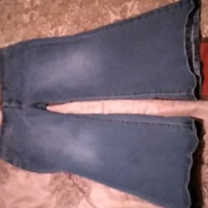 Ladies size 20W Terra & Sky jeans
